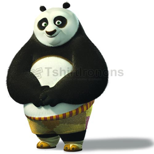 Kung Fu Panda T-shirts Iron On Transfers N2654